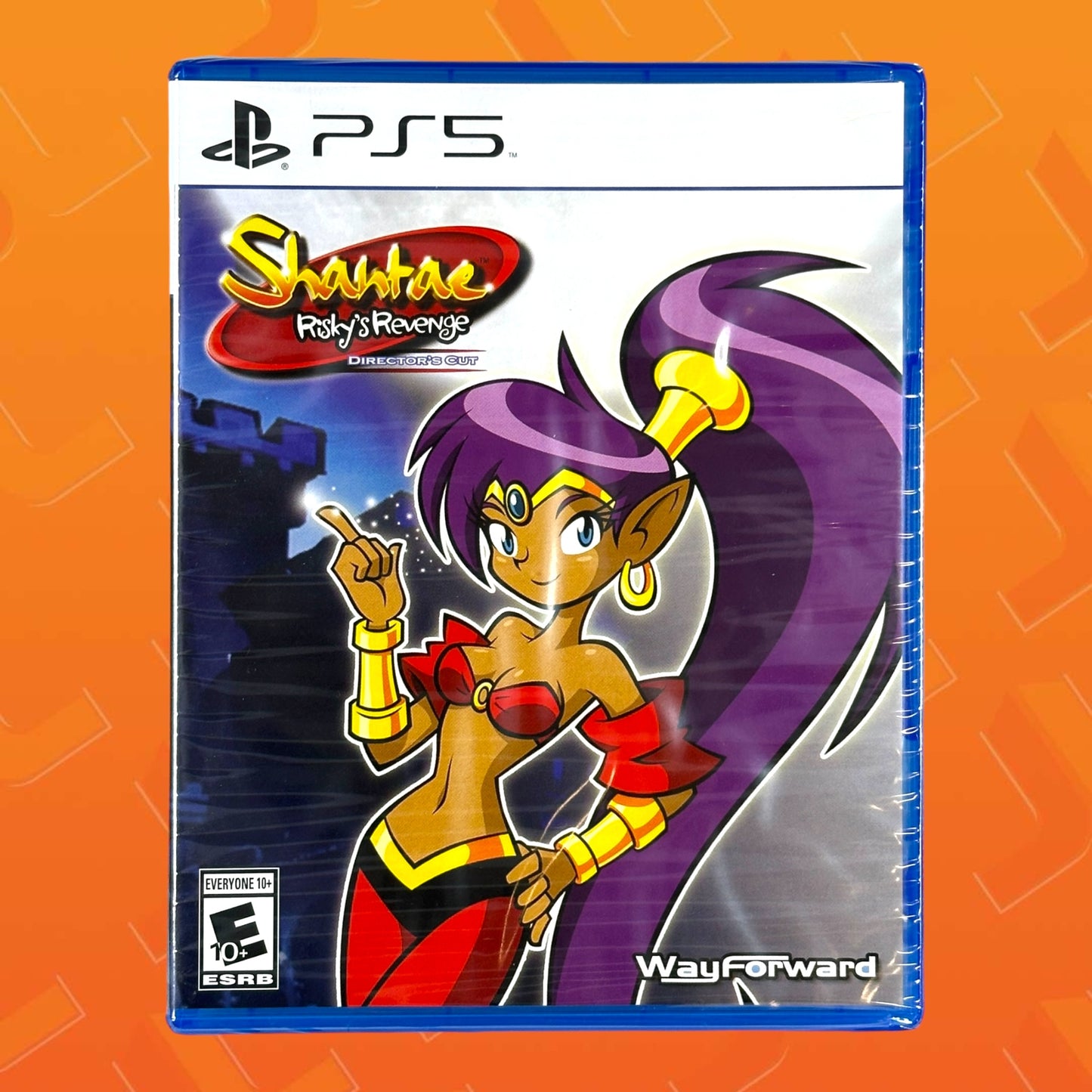 Shantae Risky’s Revenge Director’s Cut